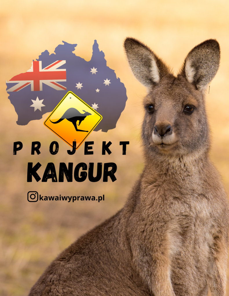 projekt kangur, uluru, ebook australia